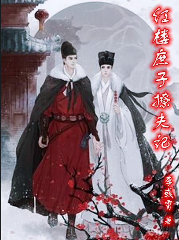 红楼庶子撩夫记 红楼庶子撩夫记