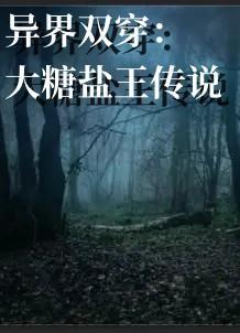 异界双穿:大糖盐王传说 异界双穿:大糖盐王传说
