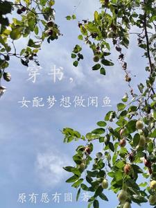 穿书,女配梦想做闲鱼 穿书,女配梦想做闲鱼