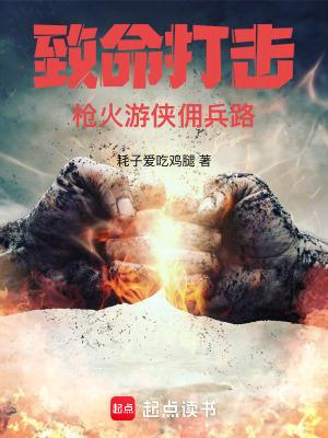 致命打击:枪火游侠佣兵路 致命打击:枪火游侠佣兵路
