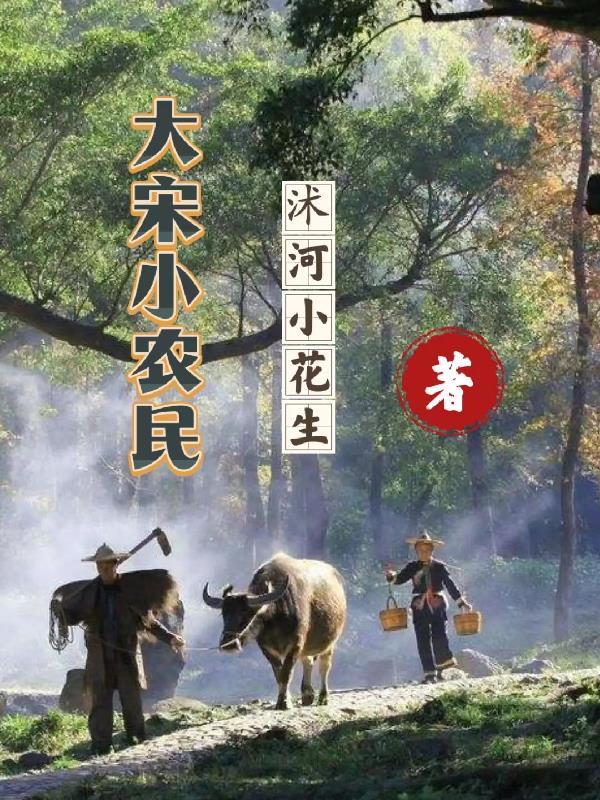 大宋小农民 大宋小农民