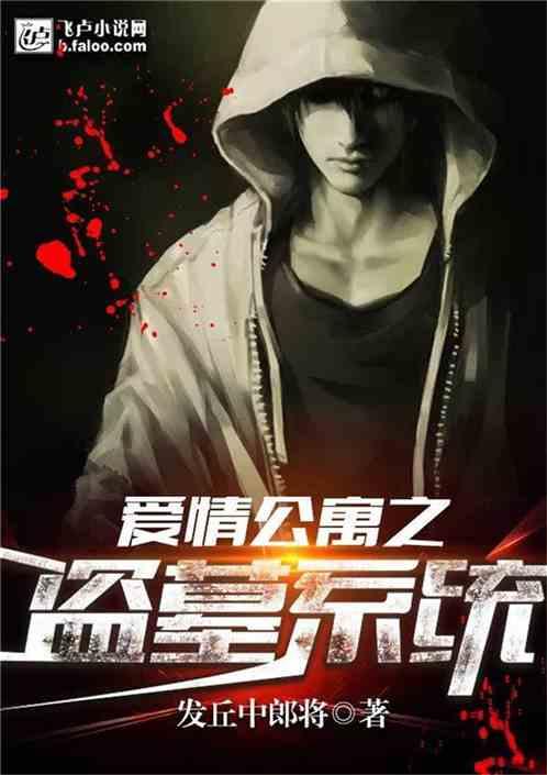 爱情公寓之盗墓系统 爱情公寓之盗墓系统