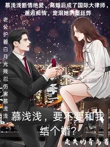 墨总,夫人又又又生了三胞胎 墨总,夫人又又又生了三胞胎