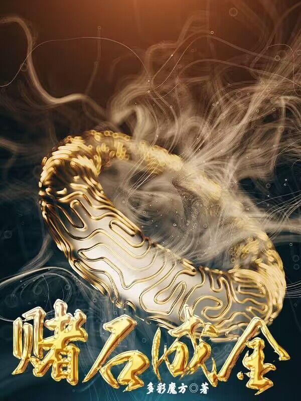 赌石成金 赌石成金