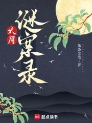 大周谜案录 大周谜案录