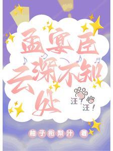 孟宴臣:订婚后我重生了 孟宴臣:订婚后我重生了